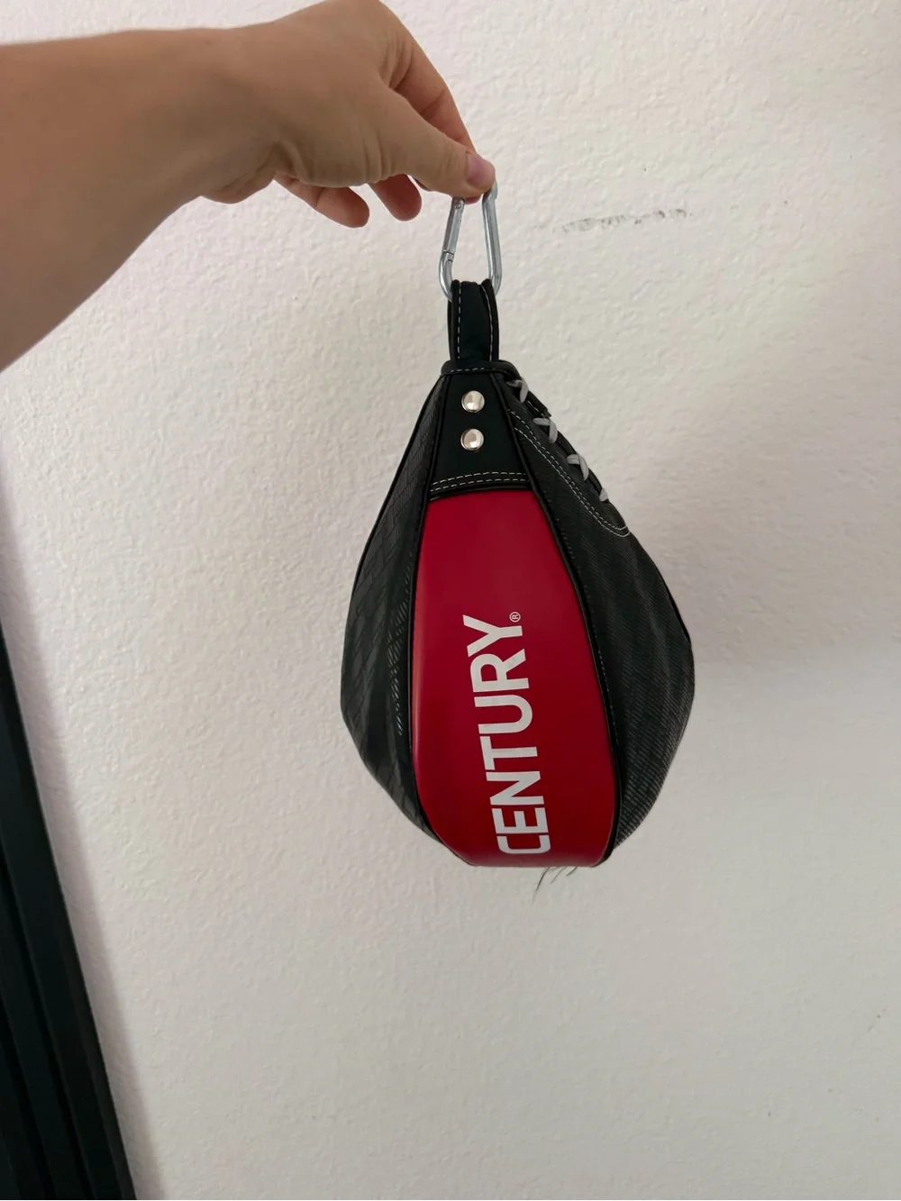 Century Speed bag